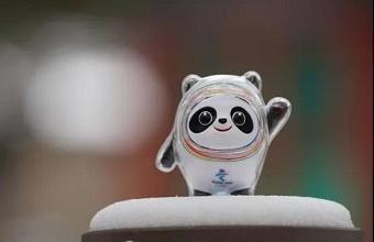 “冰墩墩”、、、“雪容融”商标也抢手，，，已被成功注册！！！！